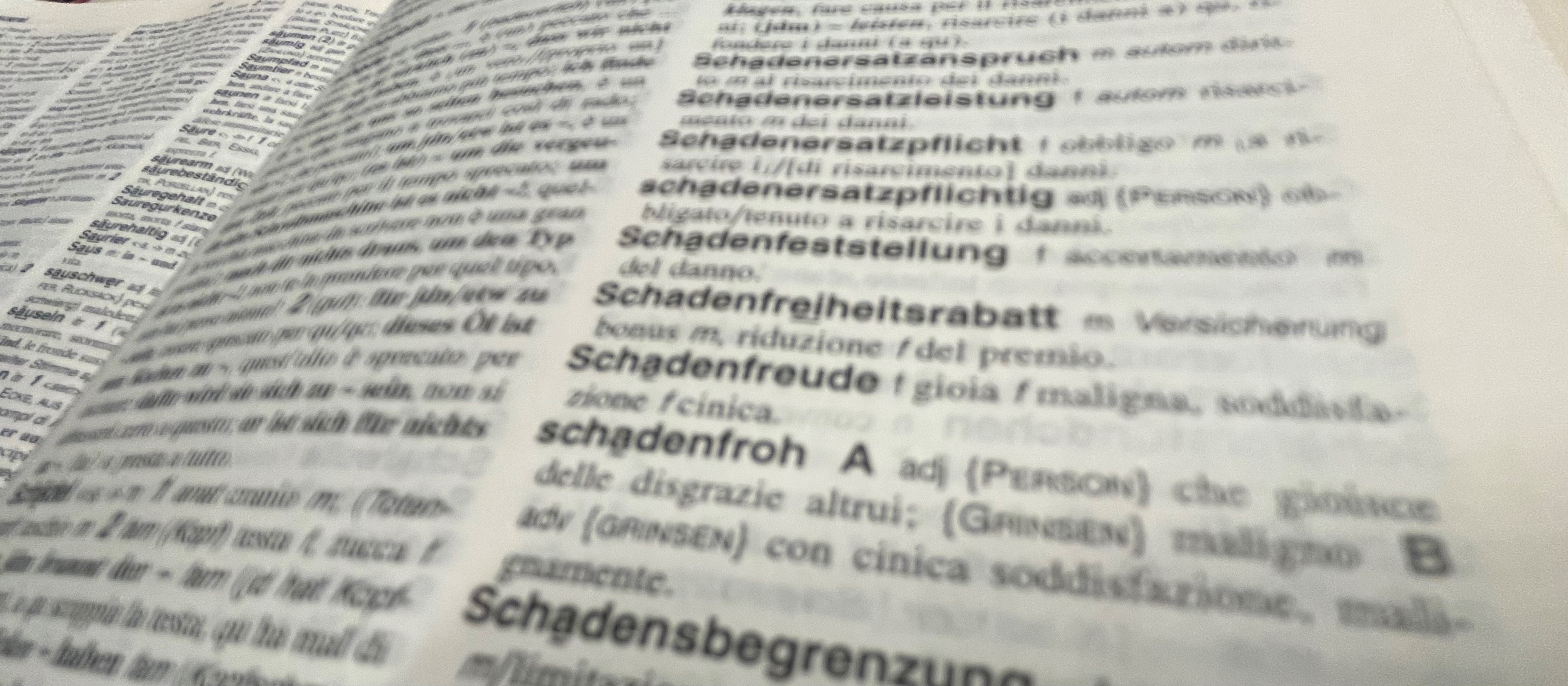 Beeinflusst Sprache unser Denken?