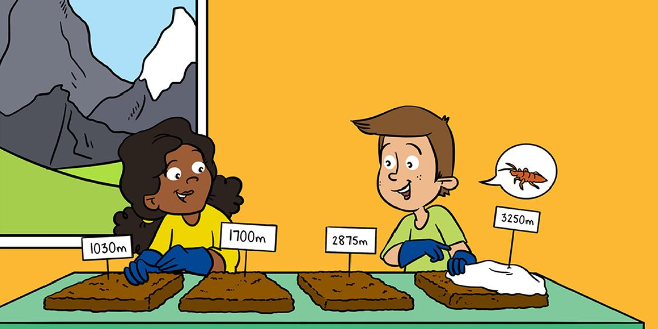 Belowground mountaineers: A scientific publication for children and young people