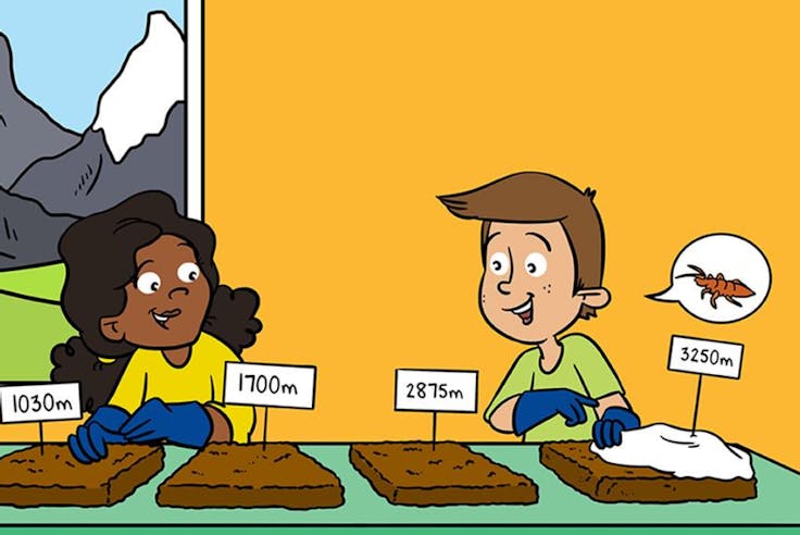 Belowground mountaineers: A scientific publication for children and young people