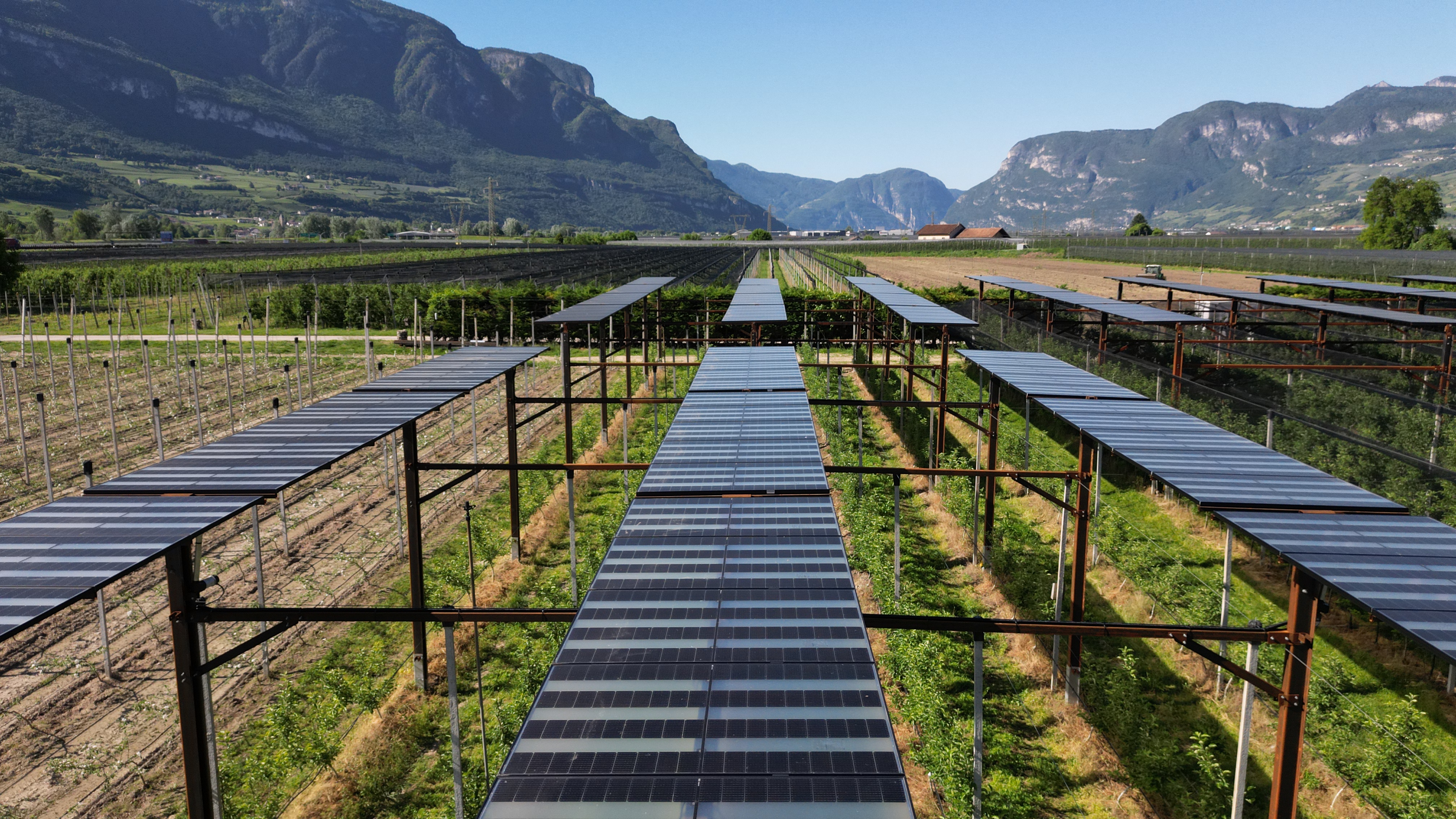 New Study Examines Justice Implications of Agrivoltaics Across Europe