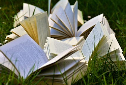 How much of plain language is about language?