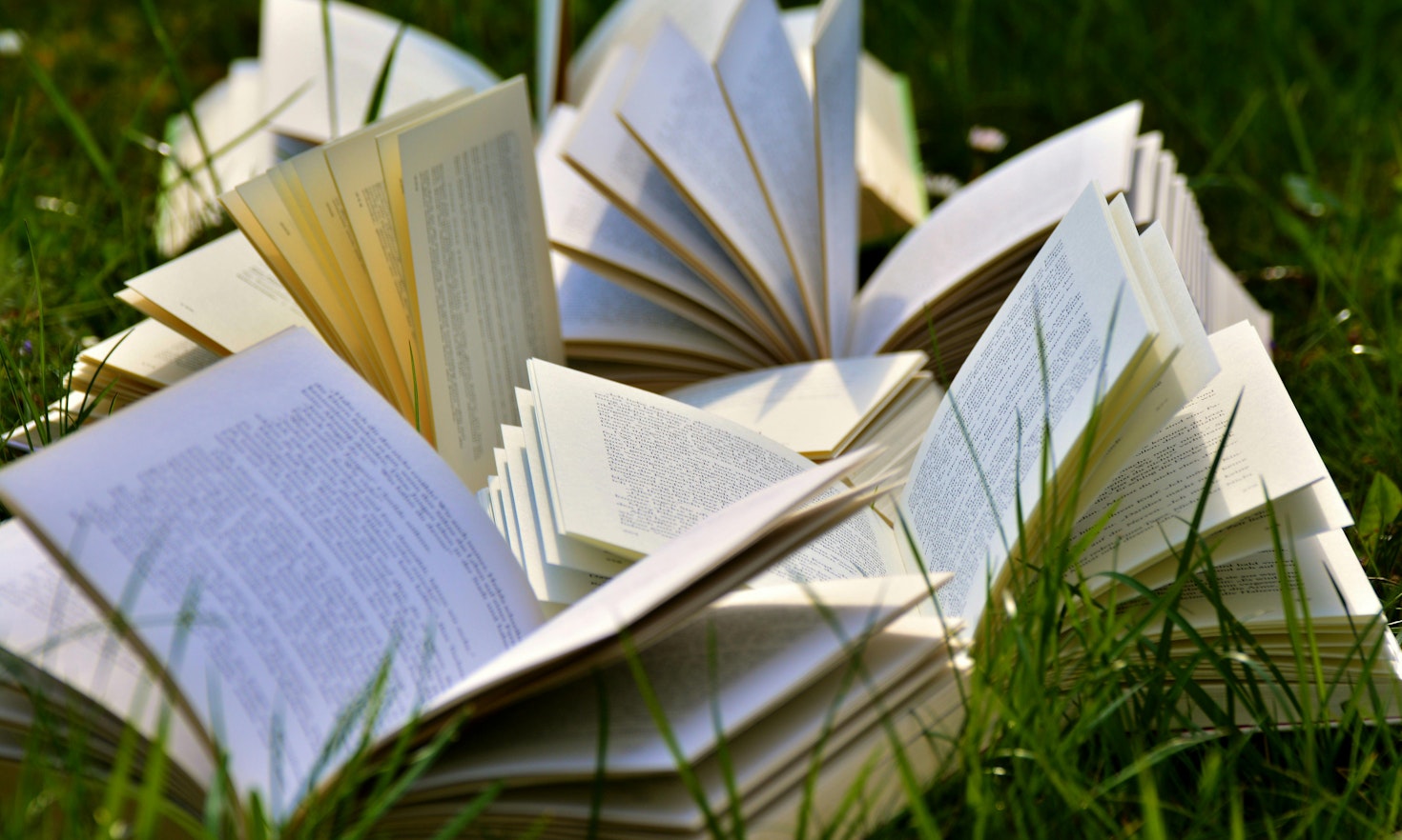 How much of plain language is about language?
