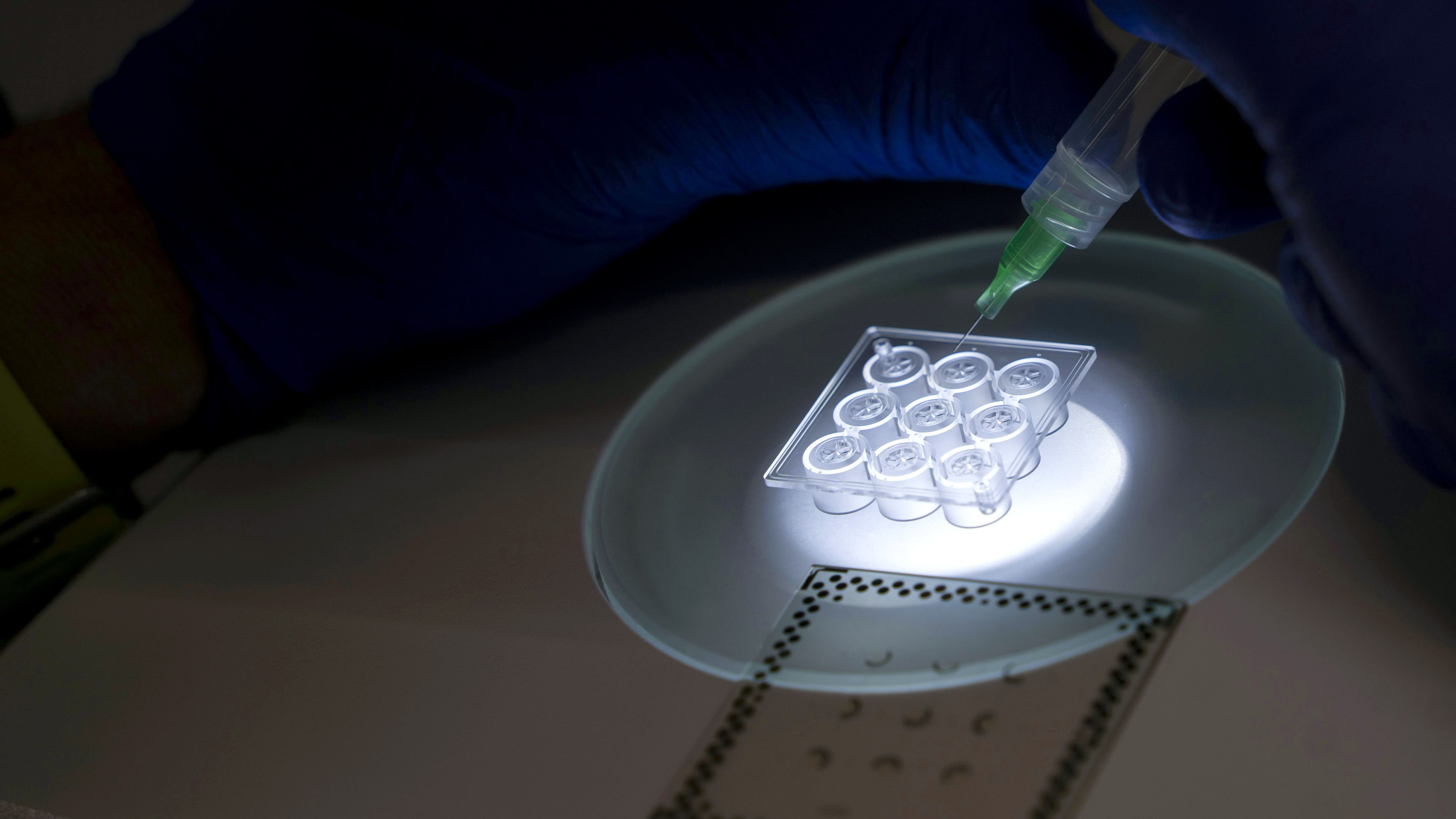 Translational Biology 