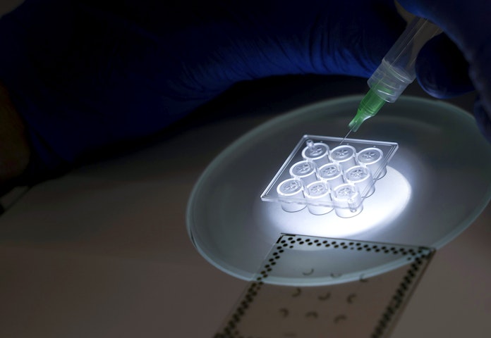 Translational Biology