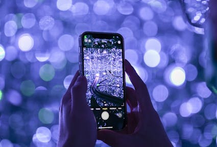 Artificial Intelligence – Trump’s deregulation and the oligarchization of politics