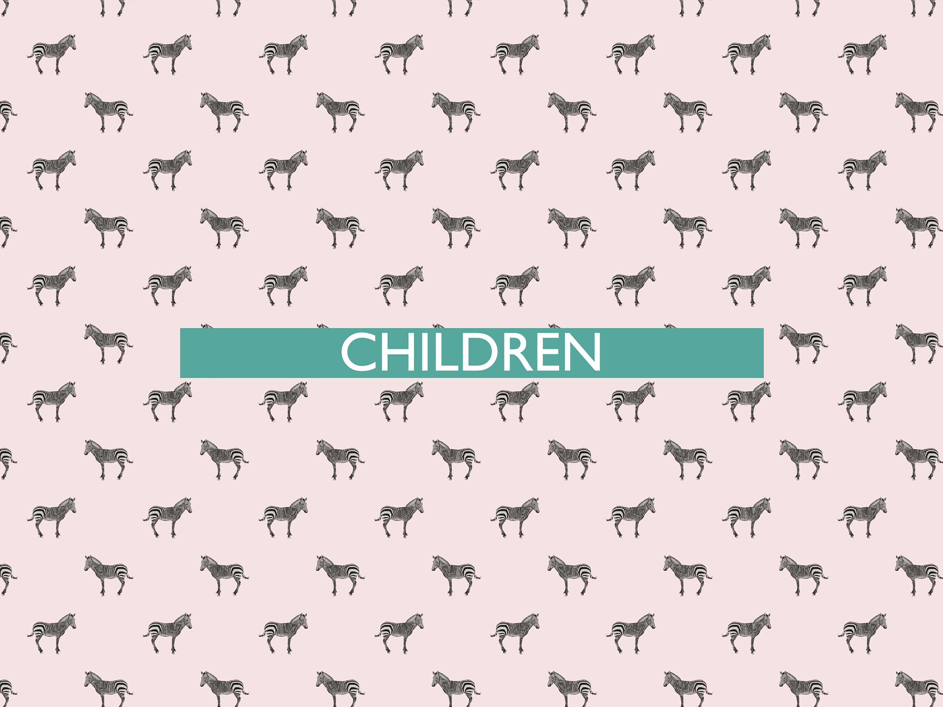 The 24th of all EU-r rights: the rights of children and how the Charter contributes