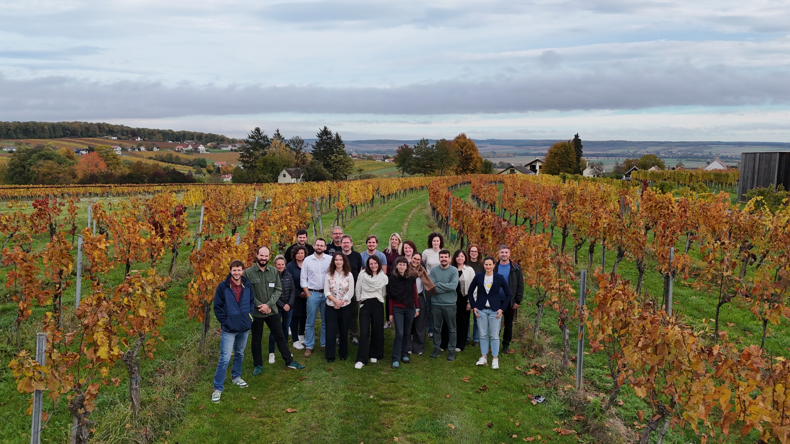 RESPOnD: Strengthening climate resilience in Alpine viticulture