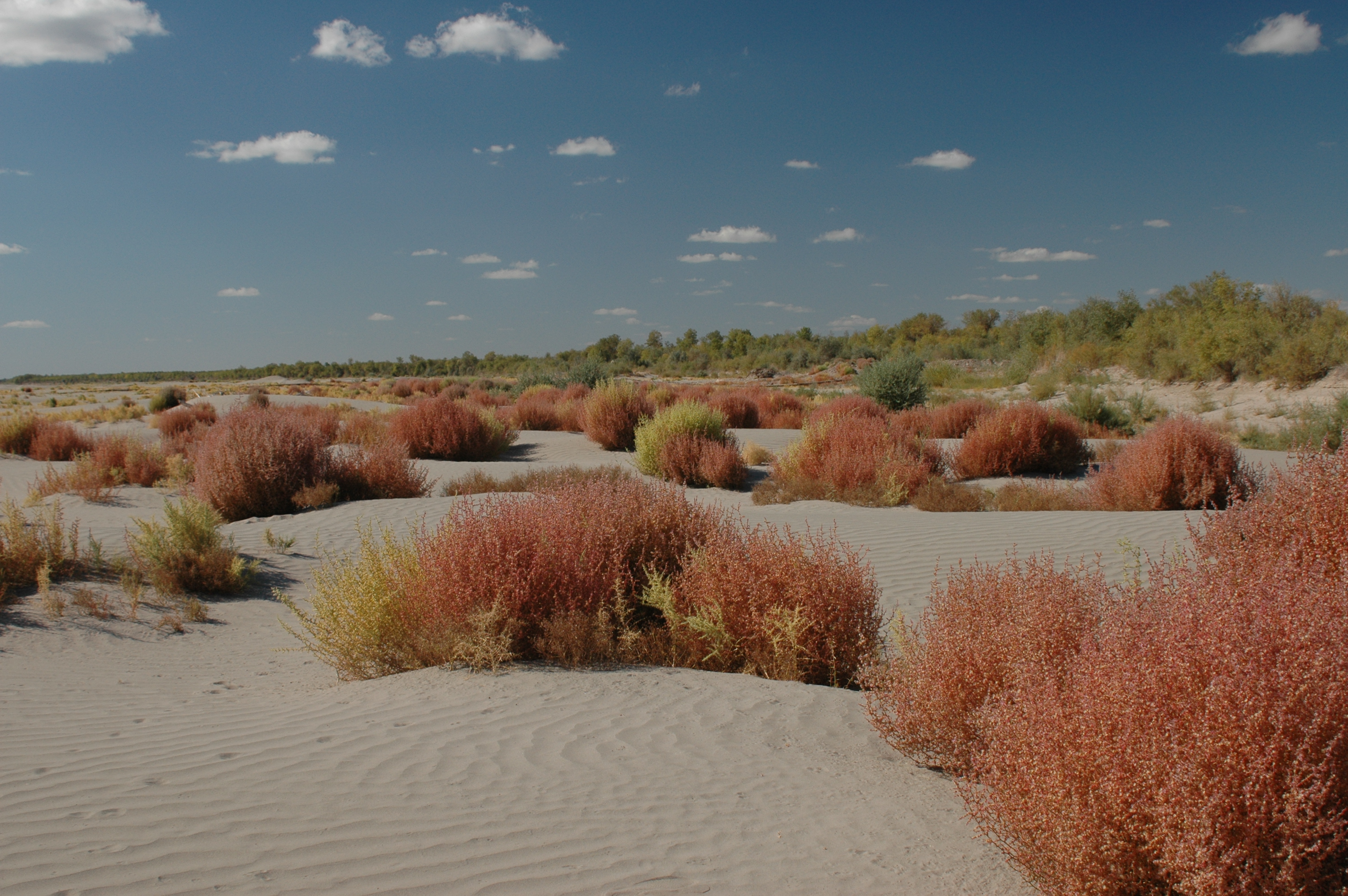  Bridging Waters: New approaches to transboundary governance in Central Asia