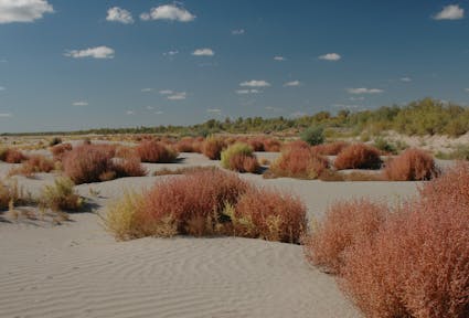 Bridging Waters: New approaches to transboundary governance in Central Asia