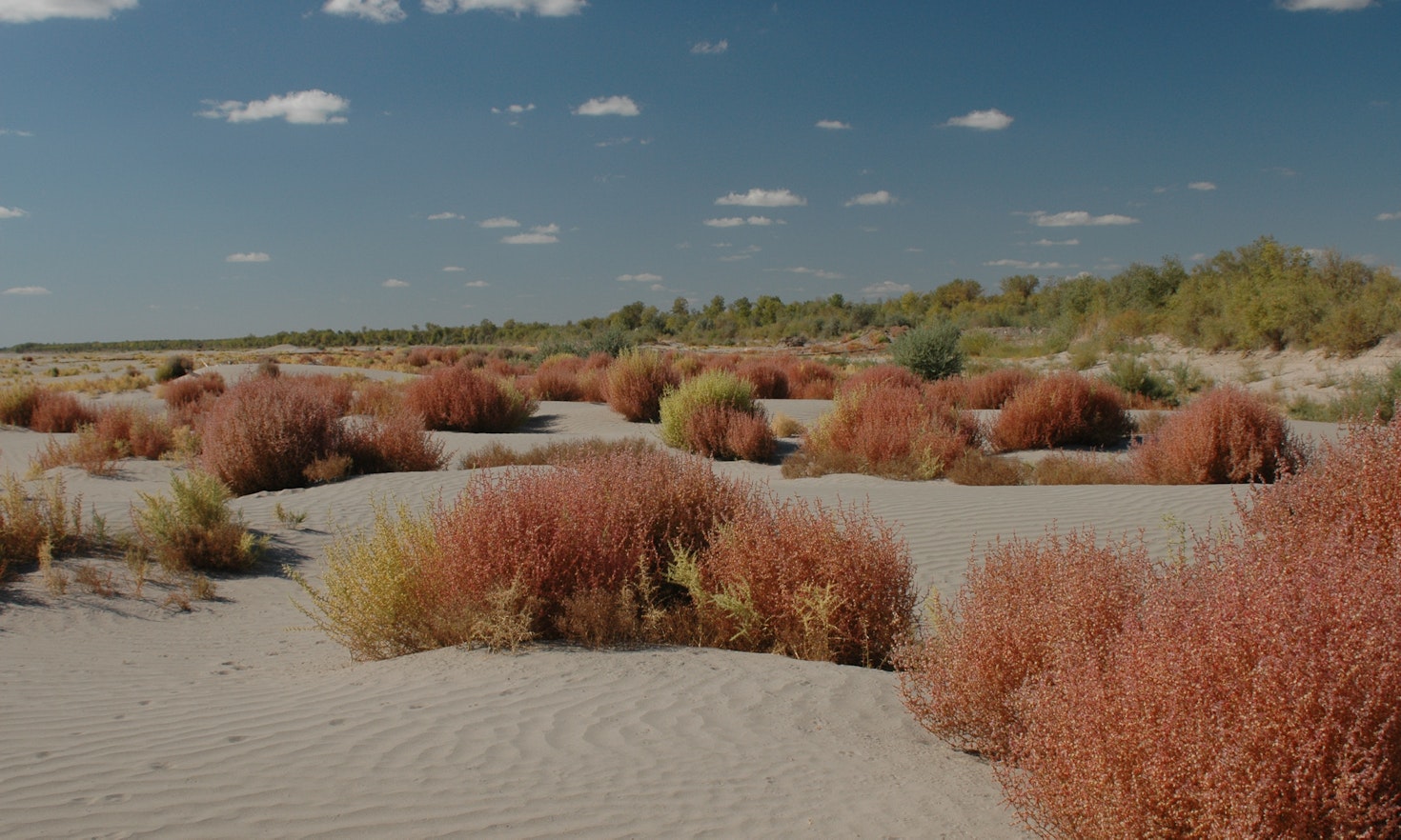 Bridging Waters: New approaches to transboundary governance in Central Asia