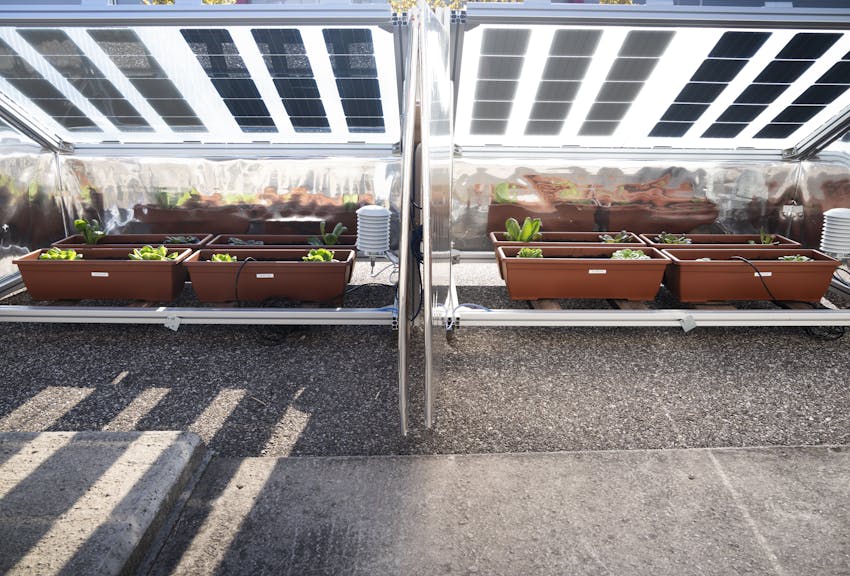 Die Zukunft der Agri-Photovoltaik: Prototypen, die Pflanzen schützen und Erträge steigern