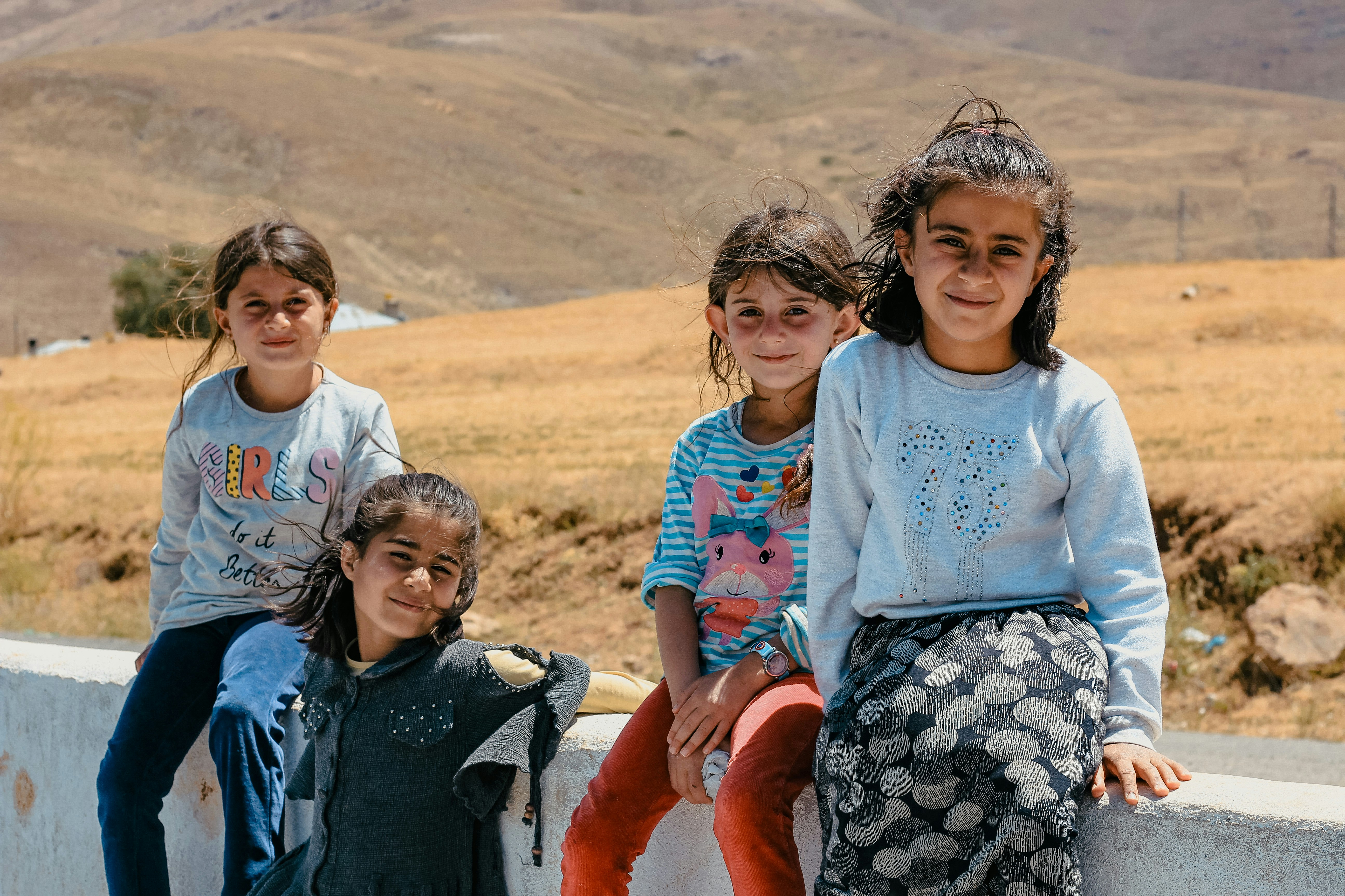 The Kurdish minority: linguistic rights and education in Turkey and Syria