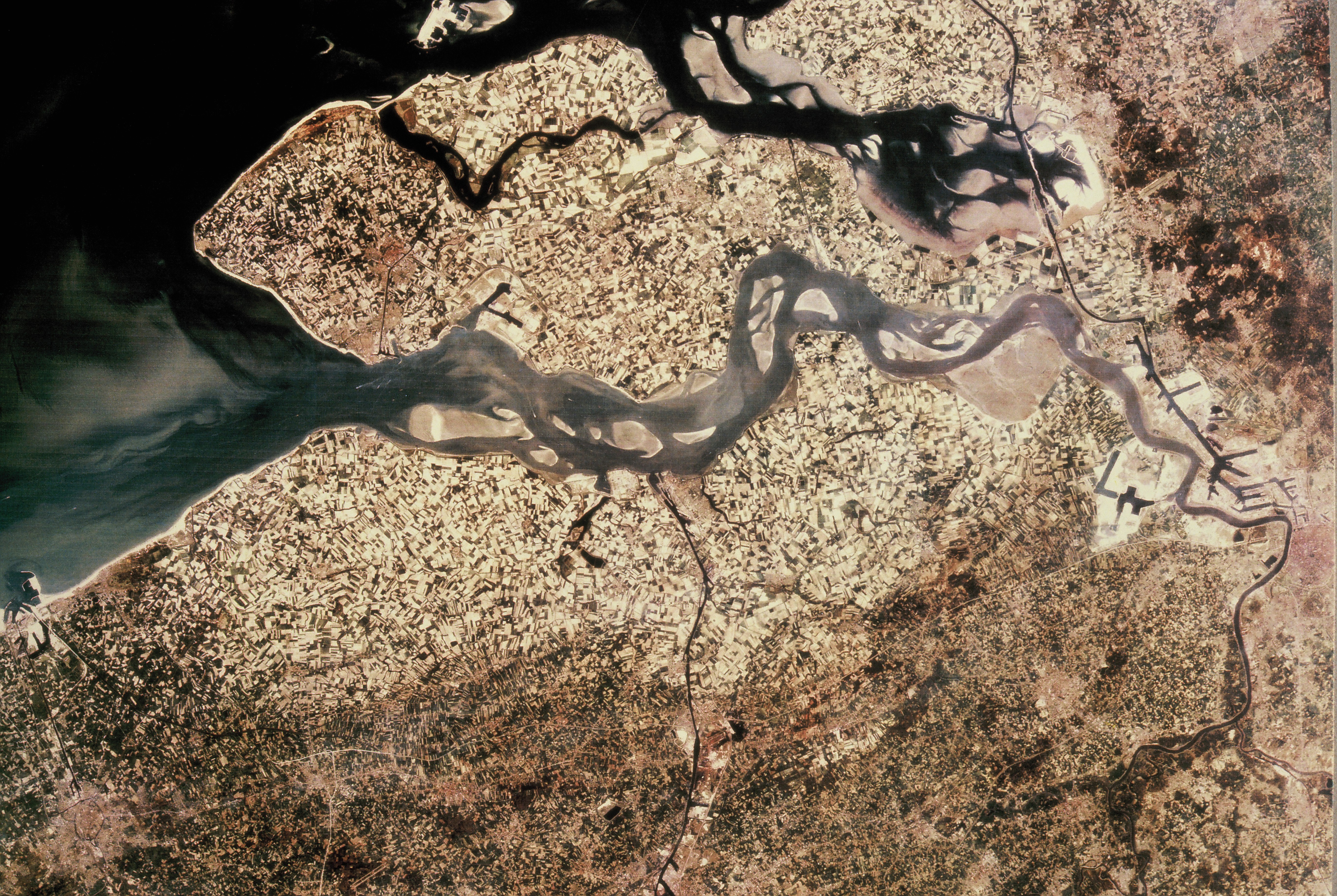 Satellite image of the Scheldt delta showing the Western Scheldt at low tide