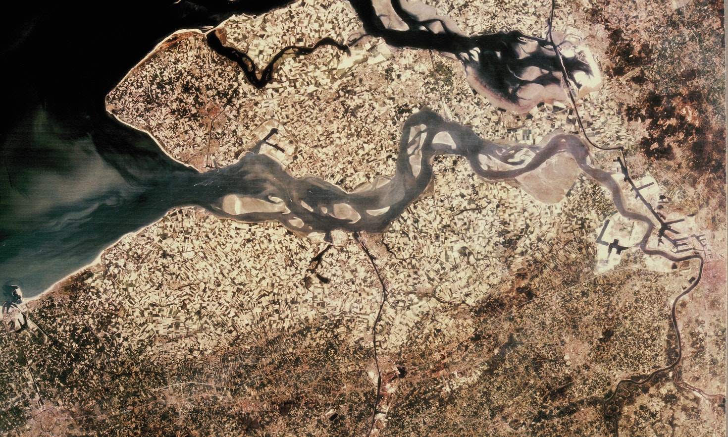 Satellite image of the Scheldt delta showing the Western Scheldt at low tide