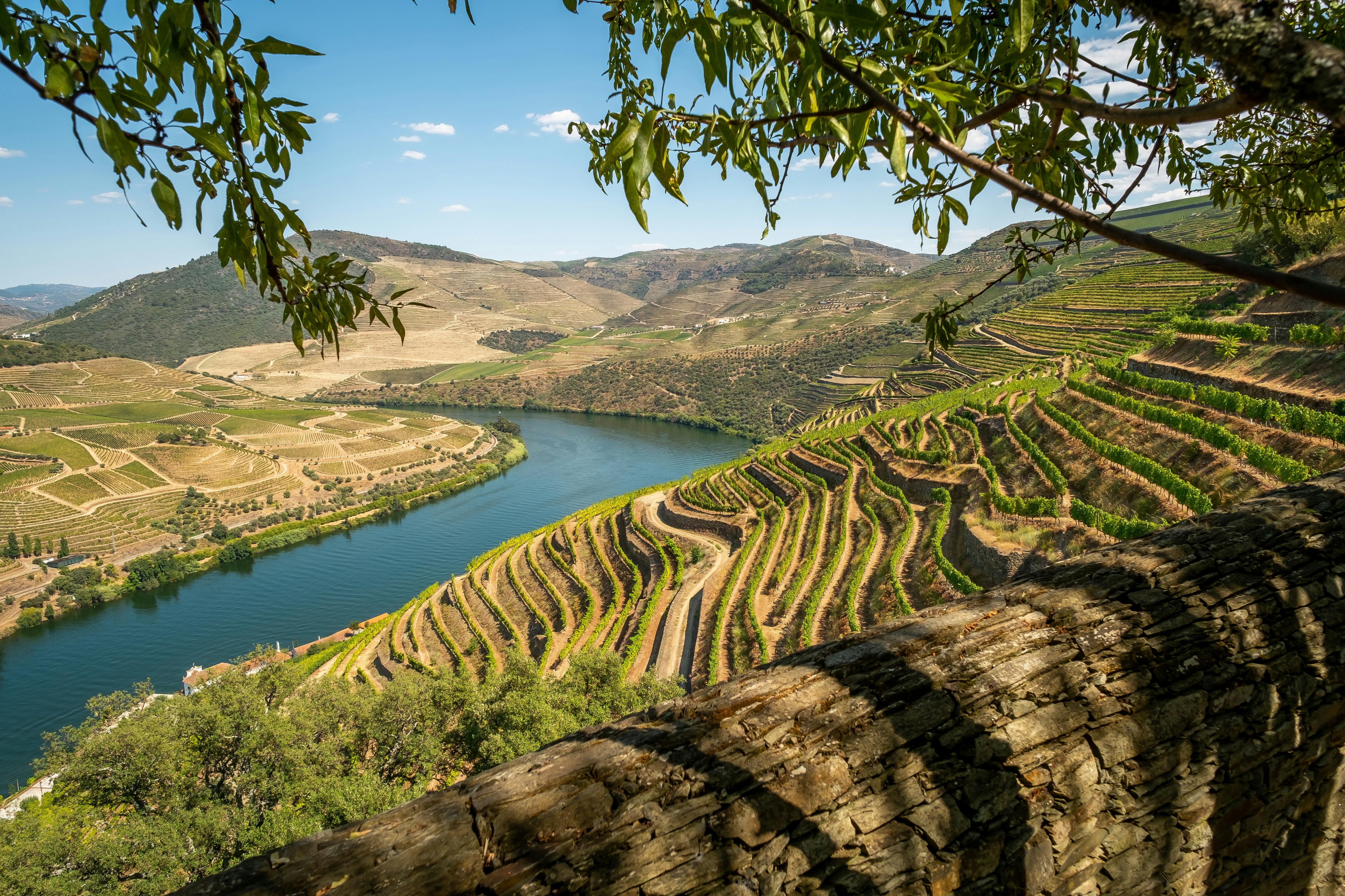 Six ways to make cross-border nature governance work in the Meseta Ibérica Transboundary Biosphere Reserve