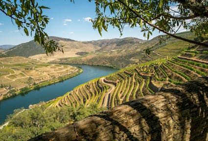 Six ways to make cross-border nature governance work in the Meseta Ibérica Transboundary Biosphere Reserve