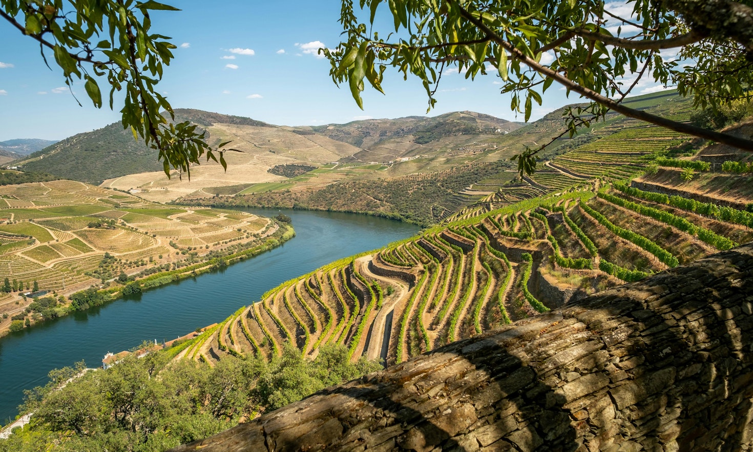 Six ways to make cross-border nature governance work in the Meseta Ibérica Transboundary Biosphere Reserve