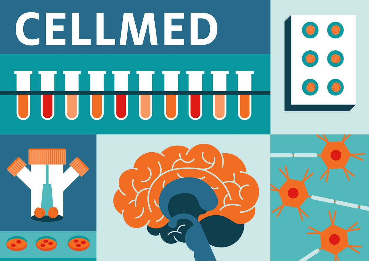 CELLMED launches its new visual identity - Eurac Research