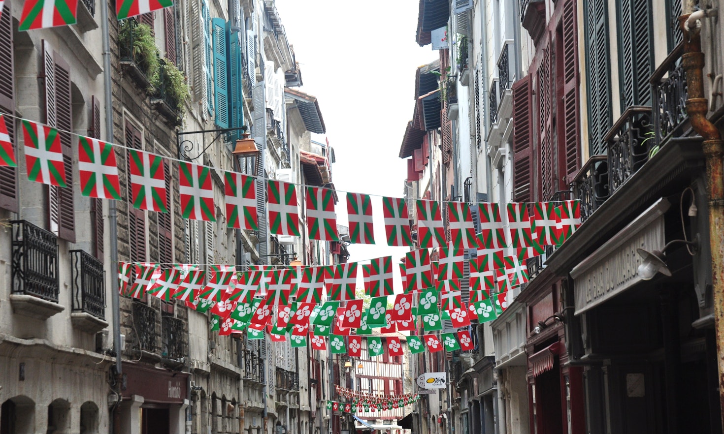 The Basque language in the court