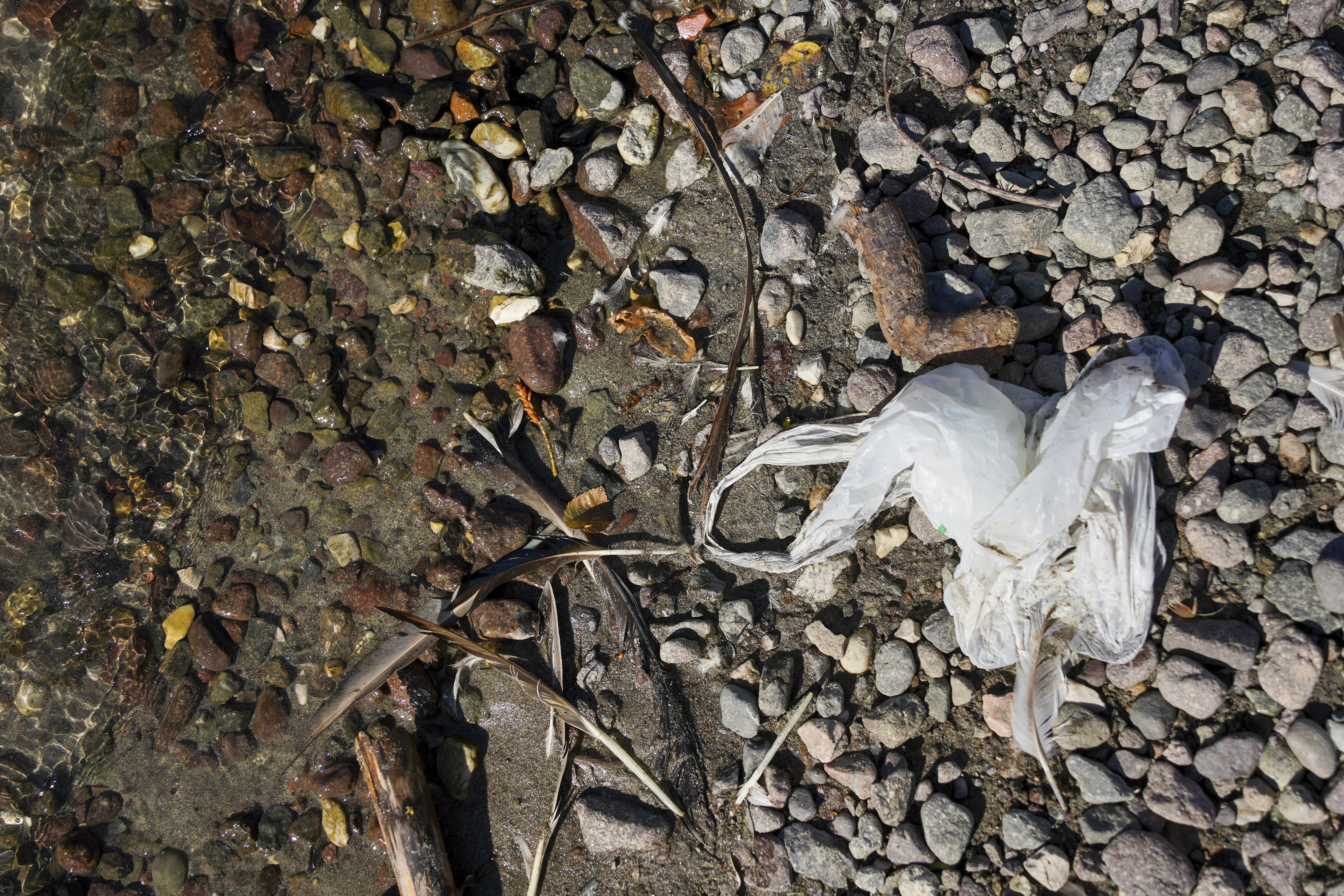 Microplastiche nei fiumi dell’Alto Adige: cosa ne sappiamo?