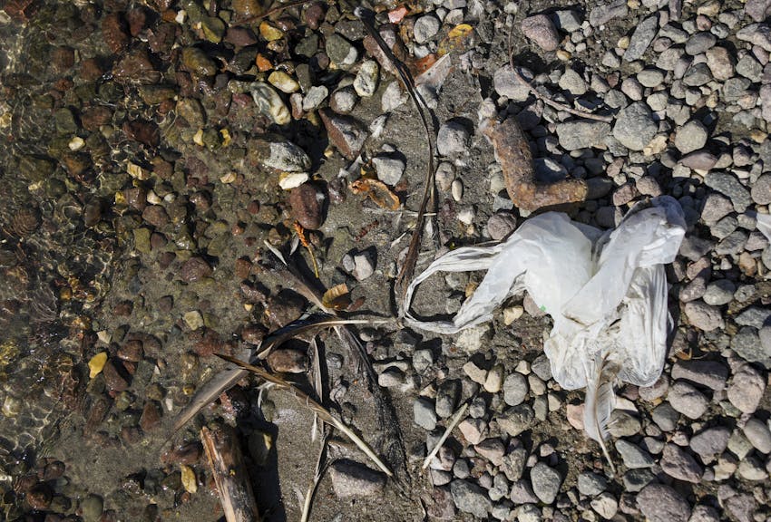 Mikroplastik in den Flüssen Südtirols: Was wissen wir darüber?