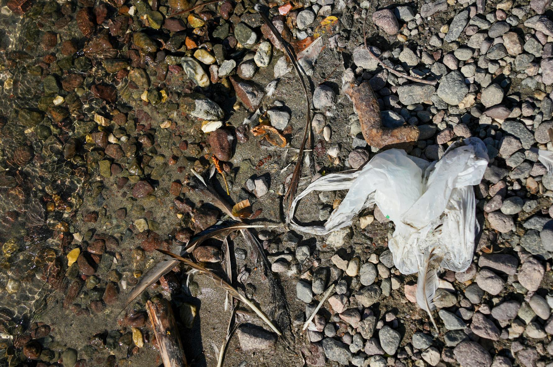 Microplastiche nei fiumi dell’Alto Adige: cosa ne sappiamo?