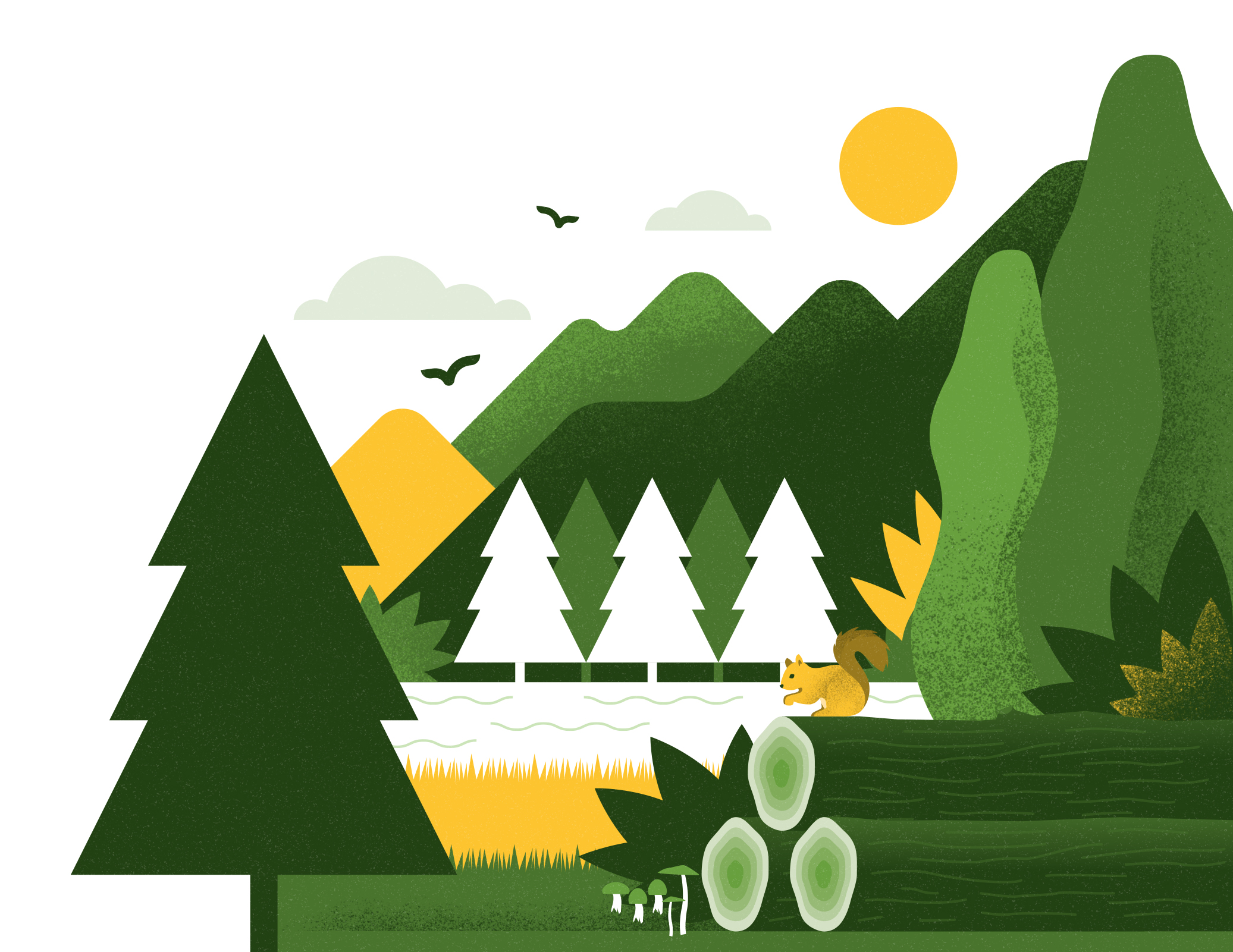 Forest-Based Value Chains in Transition