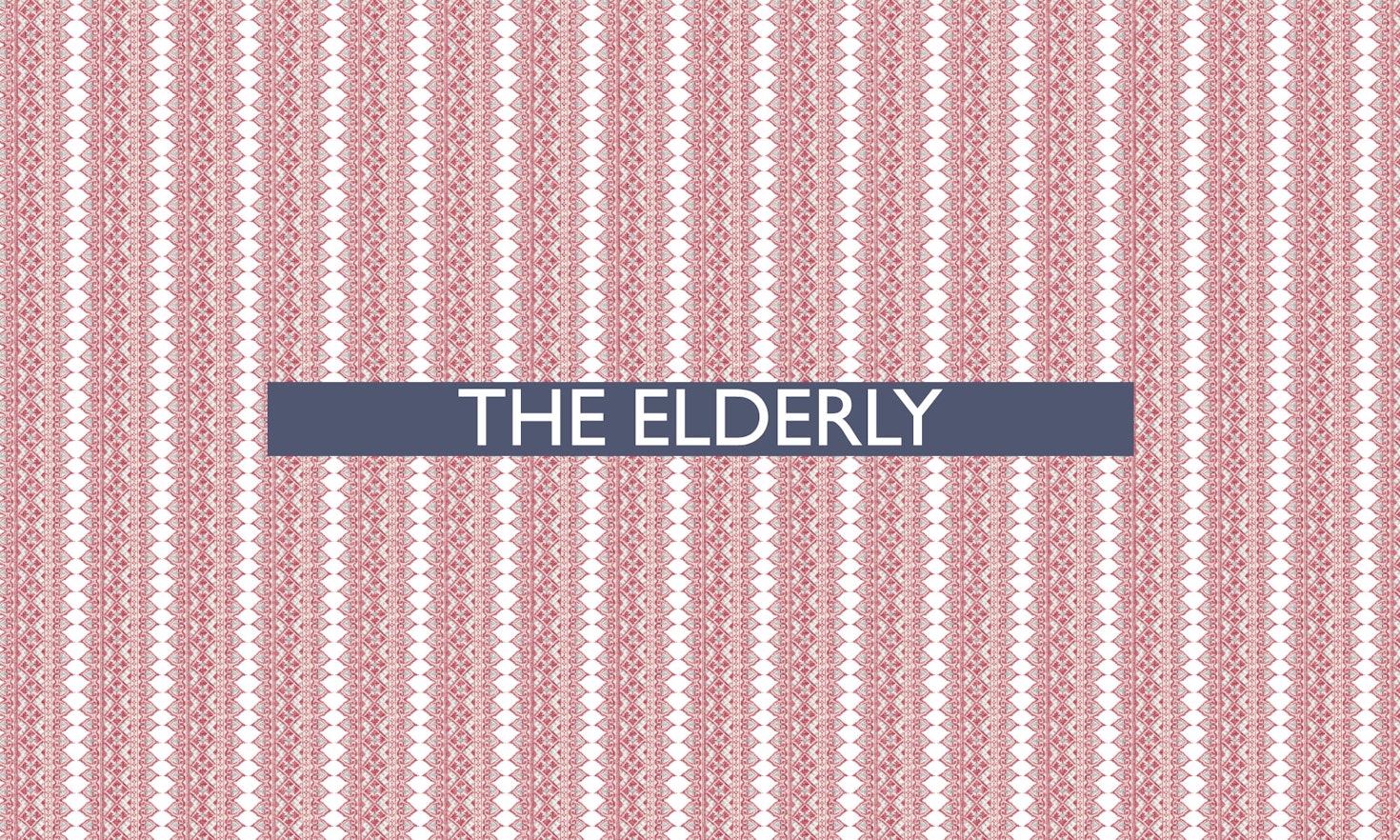 The 25th of all EU-r rights: older people and how the Charter contributes