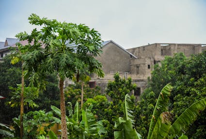 When conservation becomes expulsion: The Batwa and the cost of "green" protection
