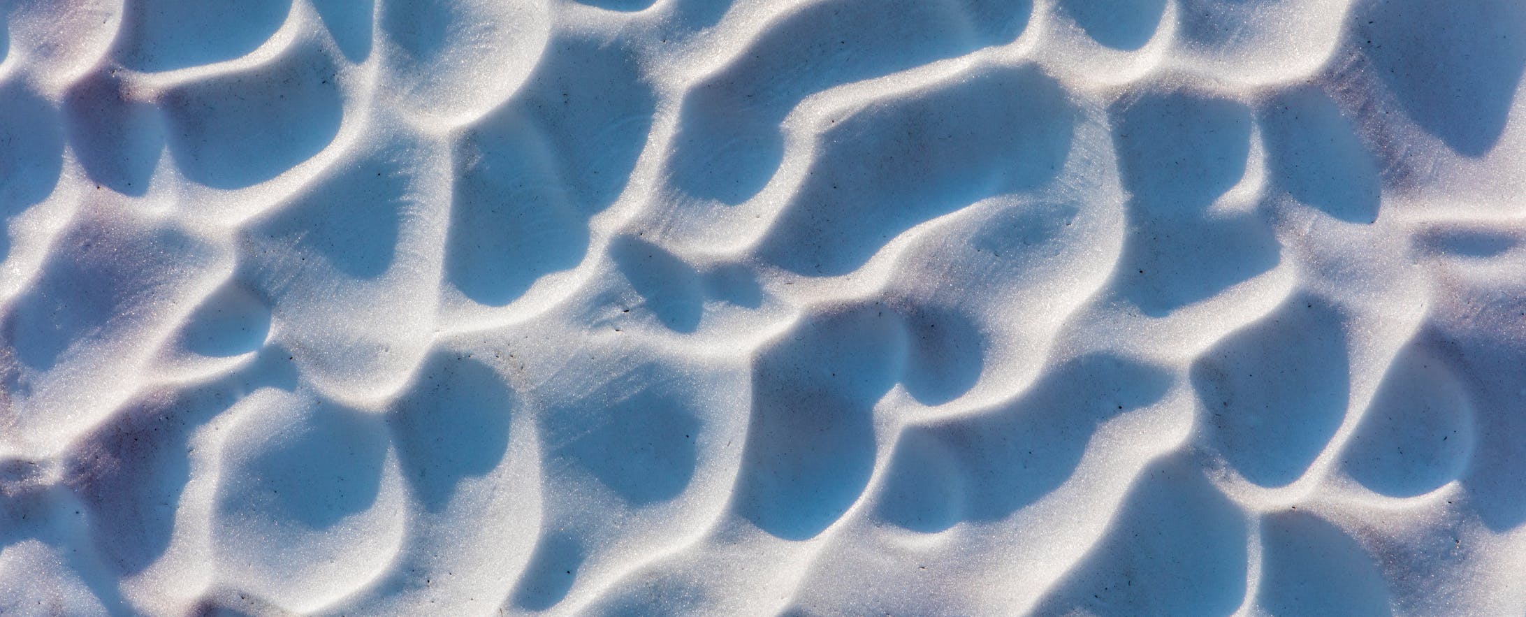 Tazze di sole