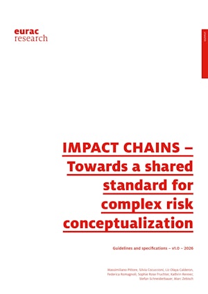 IMPACT CHAINS - Towards a shared standard for complex risk conceptualization