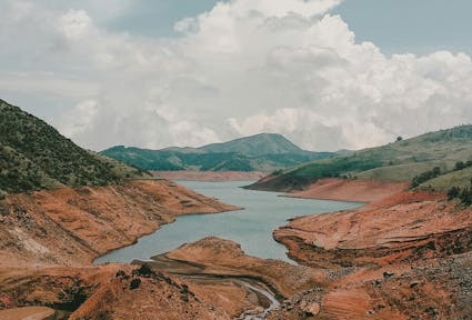 Can language become environmental data?
