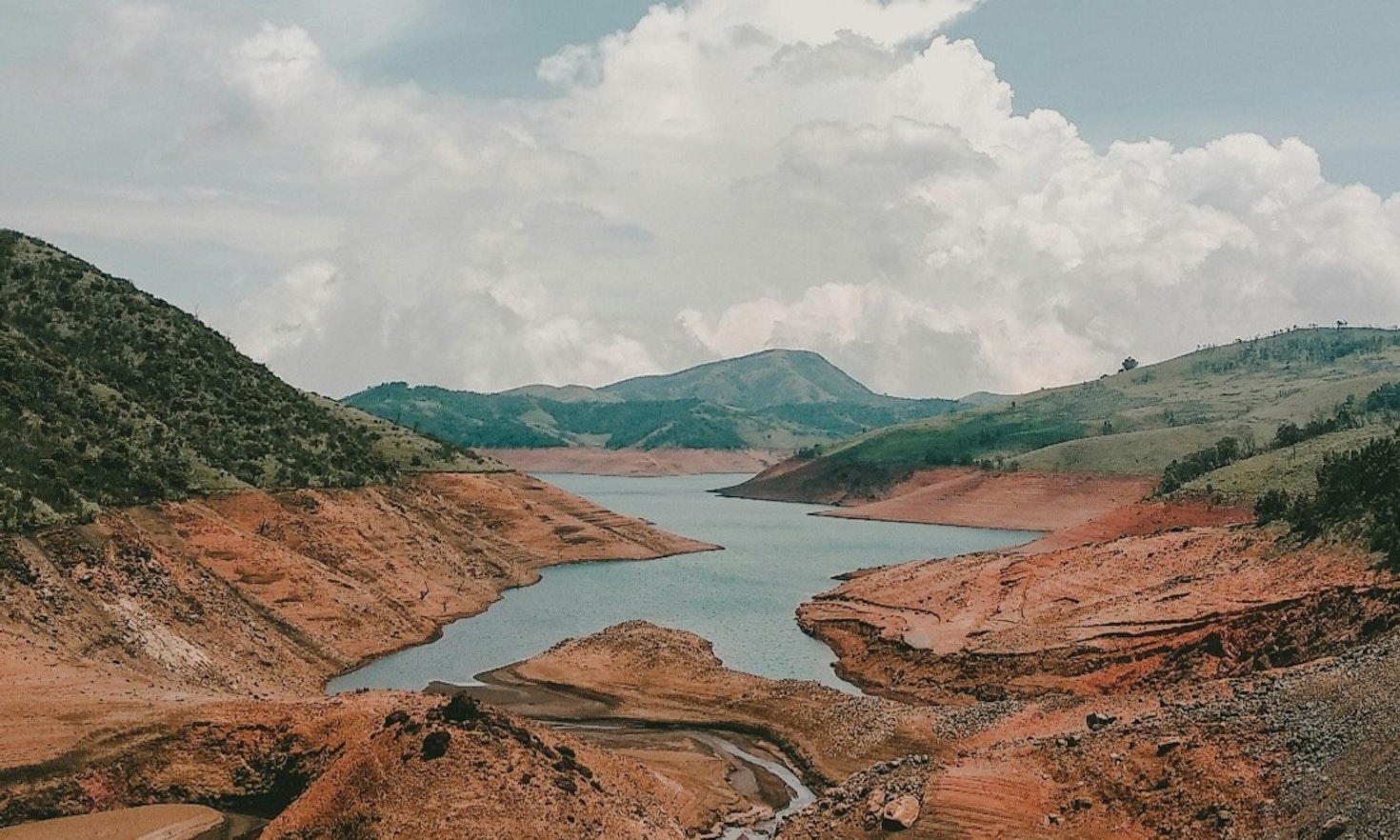 Can language become environmental data?
