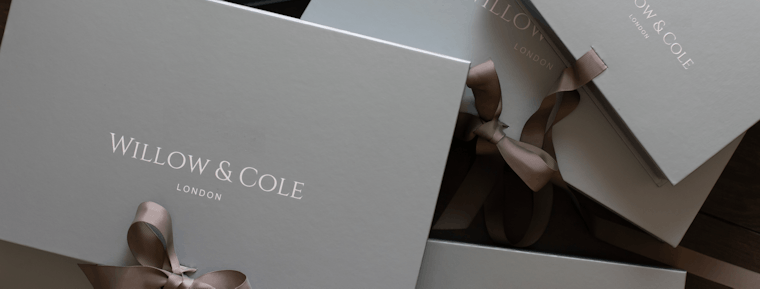 Newborn Baby Company Willow and Cole