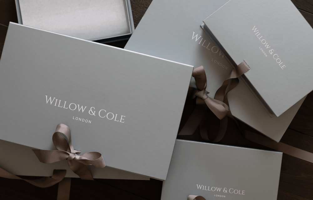 Newborn Baby Company Willow and Cole