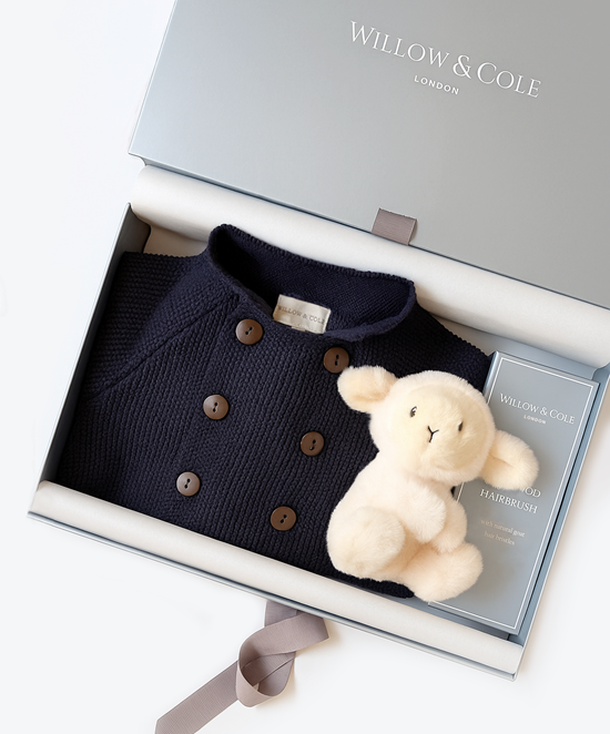 Baby boy cargoan and soft toy set