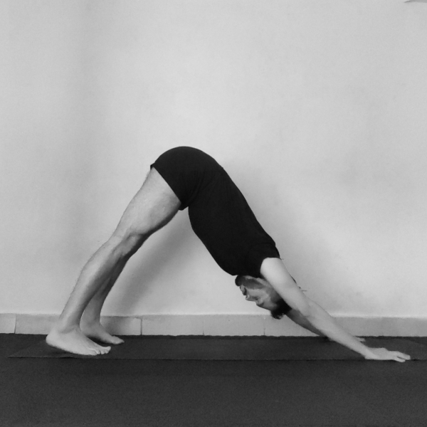 adho-mukha-svanasana