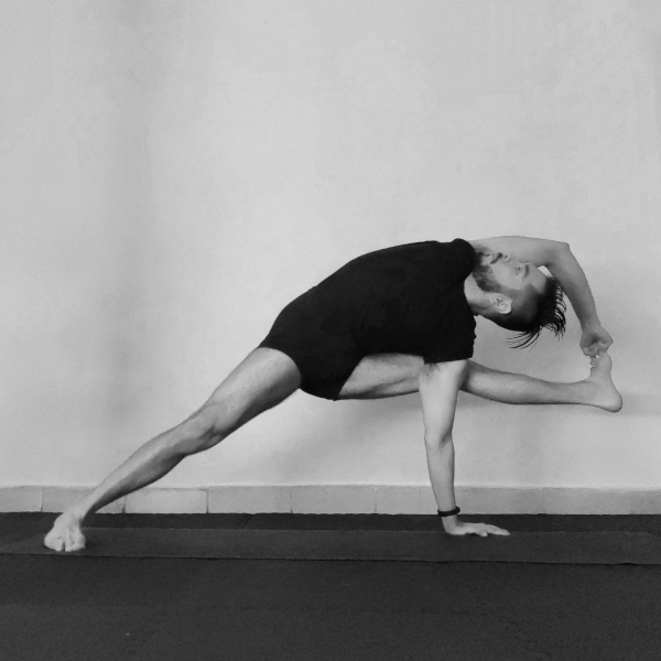 visvamitrasana
