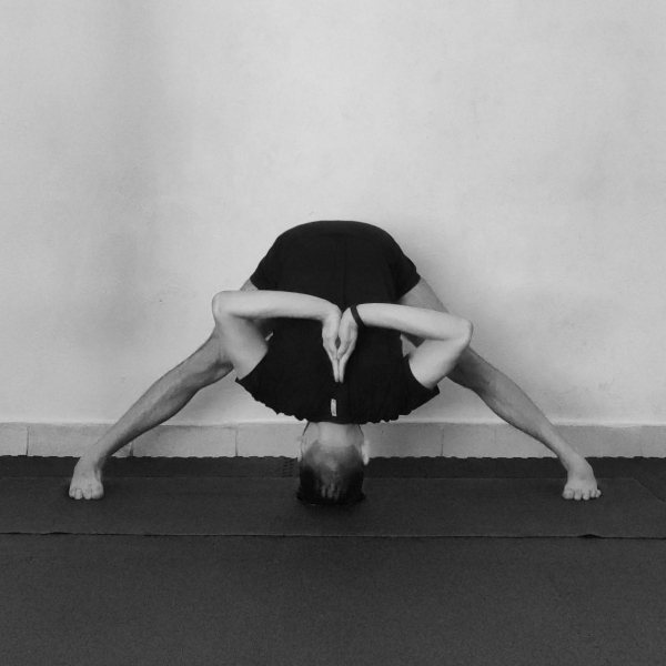 prasarita-padottanasana-2