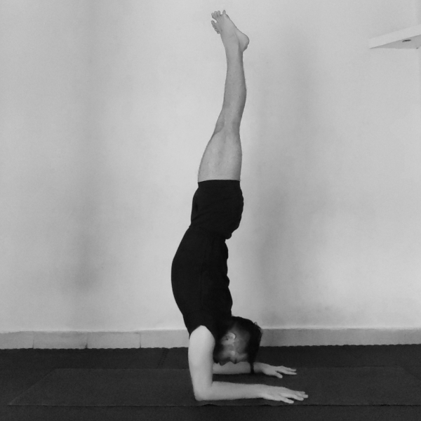 pincha-mayurasana