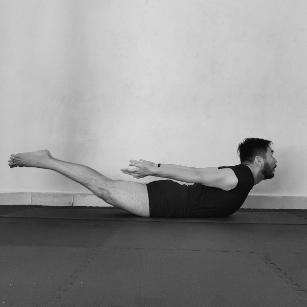 salabhasana