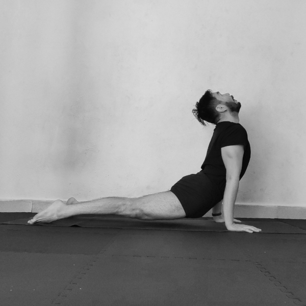 urdhva-mukha-svanasana
