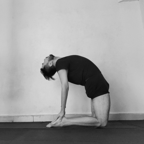 ustrasana
