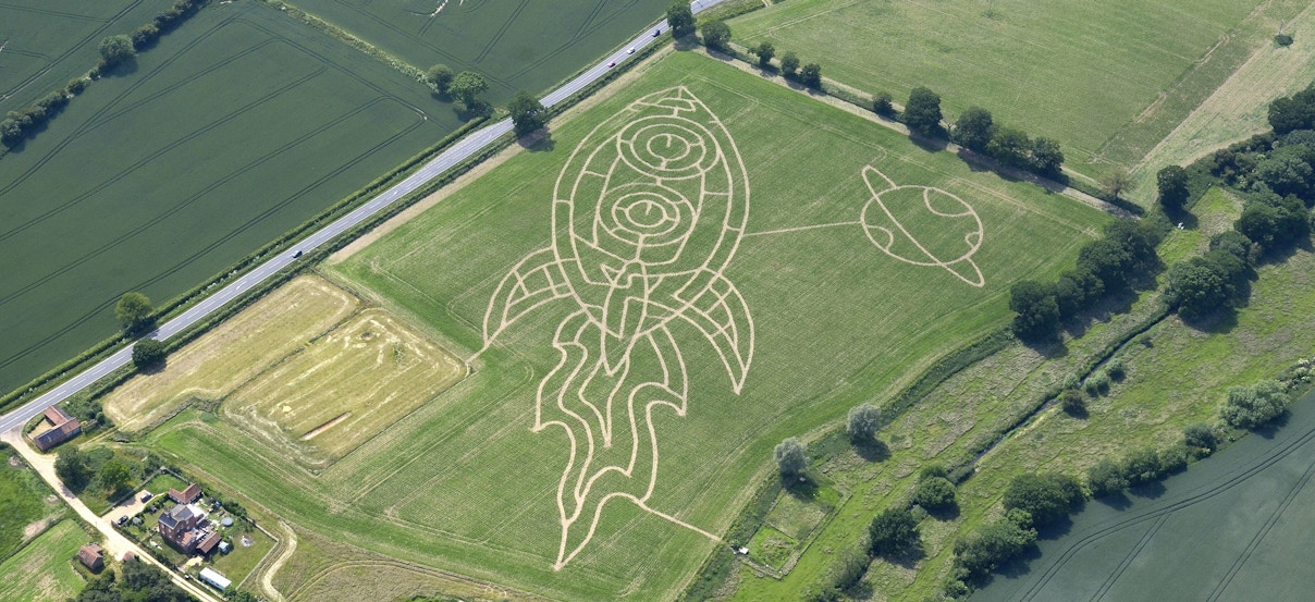 moonclerk custom fields moonclerk custom fields