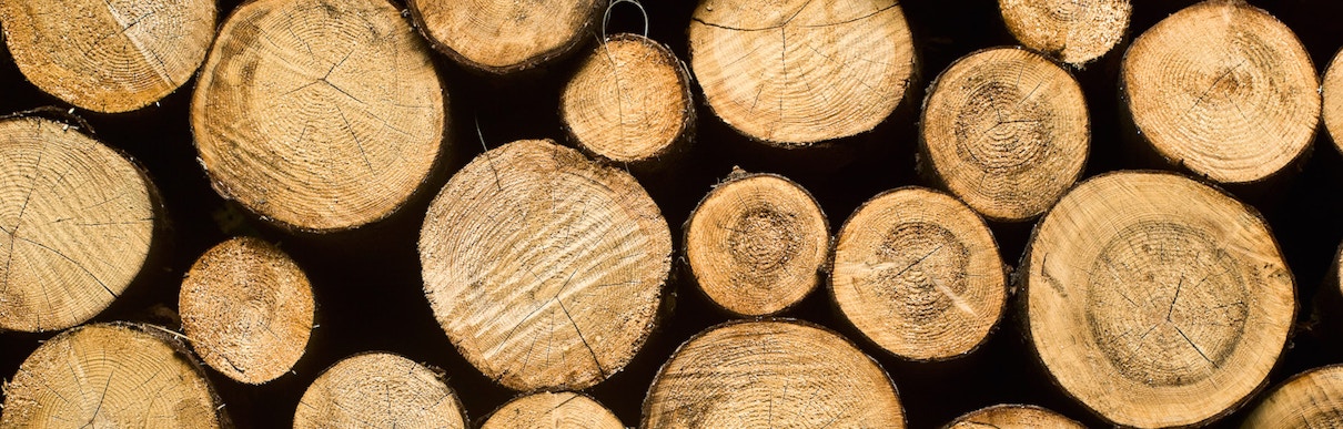 View Logs of your activty in the MoonClerk dashboard View Logs of your activty in the MoonClerk dashboard