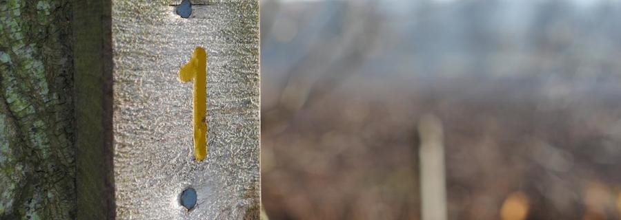 Benefits of a Monthly Giving Program Benefits of a Monthly Giving Program