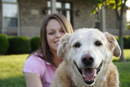 pet-sitting-software pet-sitting-software