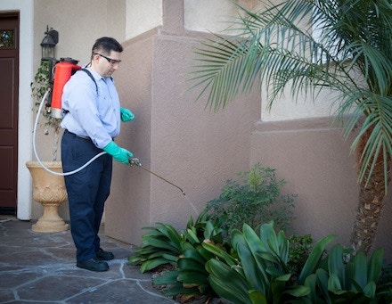 pest-control-software pest-control-software