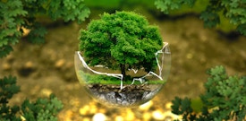 Eco Friendly and our love for the Planet
