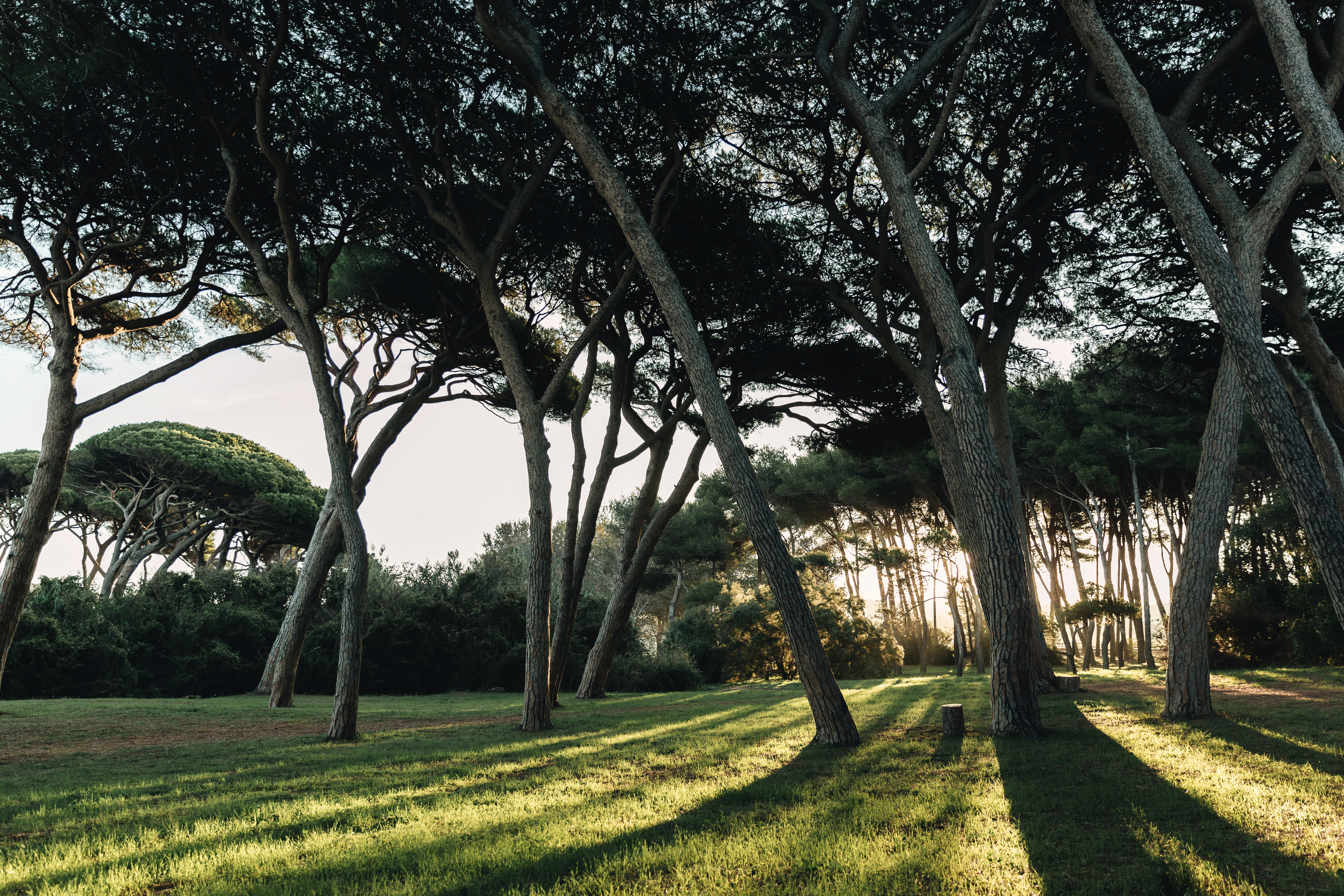 HAPPY BIRTHDAY, EARTH!    −REGARDS FROM YOUR UASHMAMA®